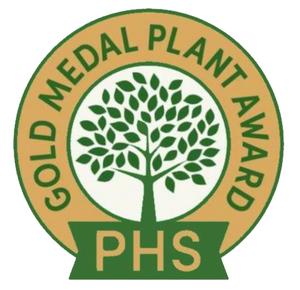 PHS Gold Medal Plant